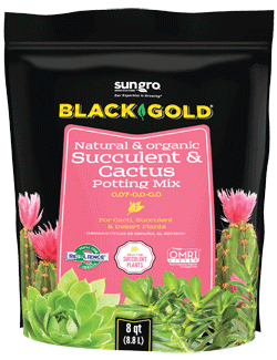 Black Gold Natural & Organic Succulent & Cactus Potting Mix, OMRI, 8 q ...