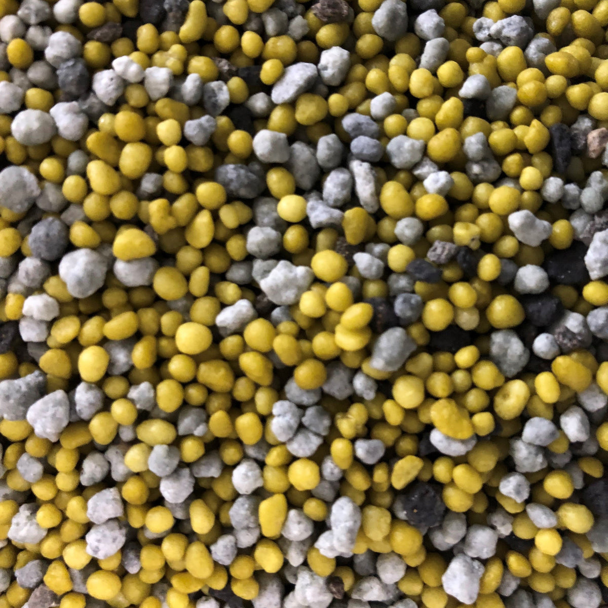 Slow Release Nursery Fertilizer for Trees and Shrubs, 2176 Southern