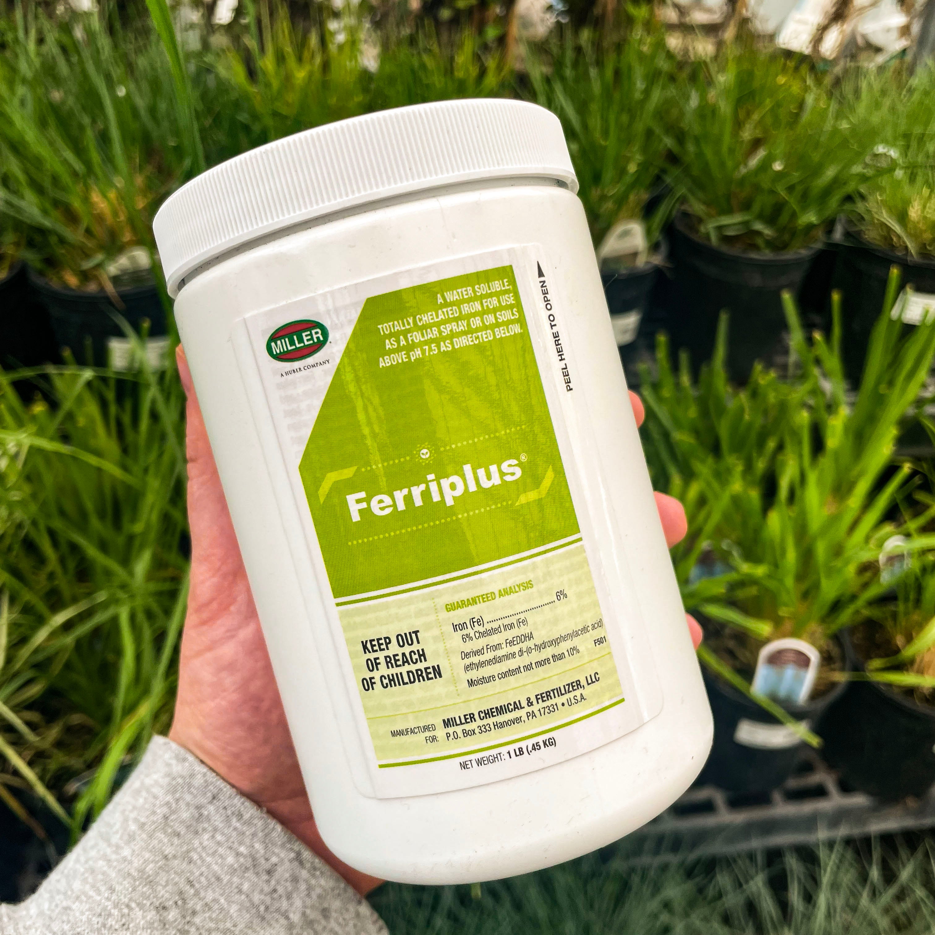 natural iron fertilizer for plants Milller Ferriplus 6% Chelated Iron 1 lb