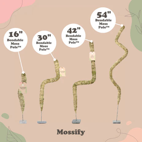 bendable moss poles Mossify 30 In. Bendable Coir Pole