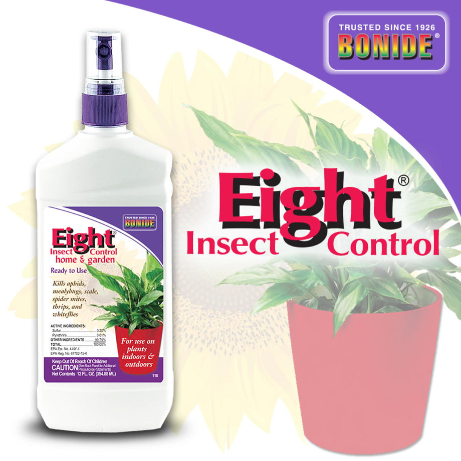 houseplant & garden insect killer Bonide Eight Household Insect Spray