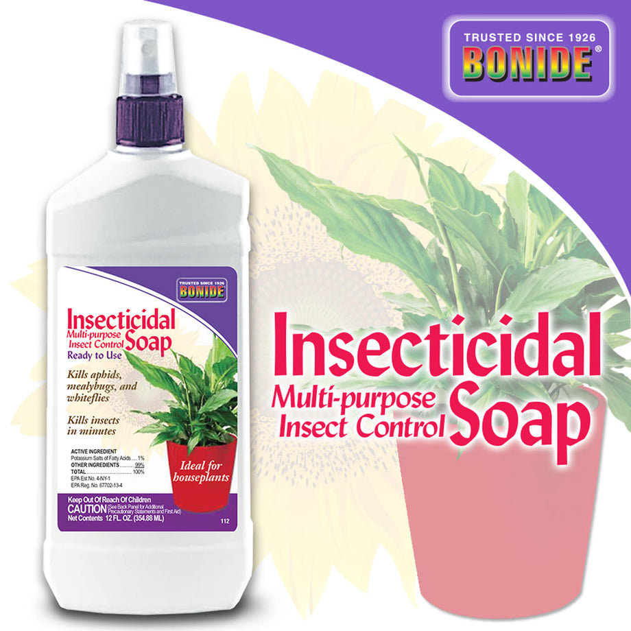 ready-to-use insecticidal soap Bonide Insecticidal Soap (12oz)
