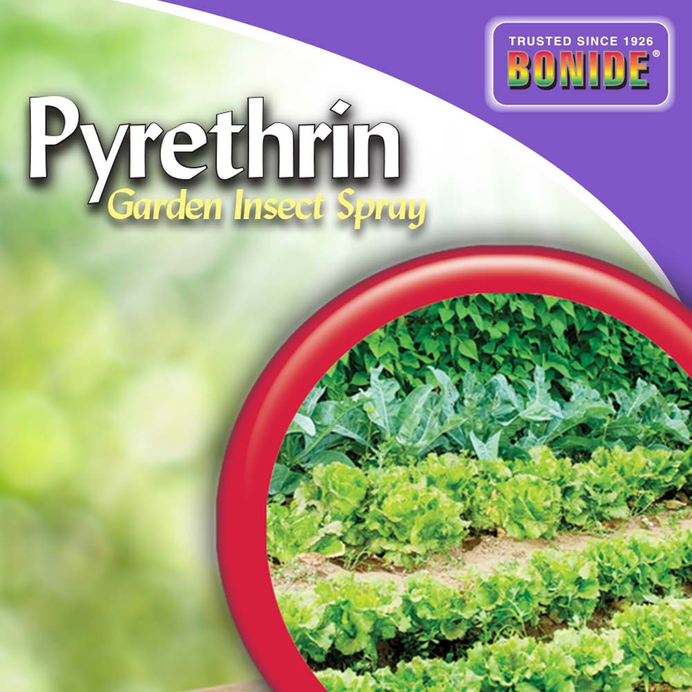 Bonide Pyrethrin Garden Spray, Concentrate, 8 oz. – Southern Idaho ...
