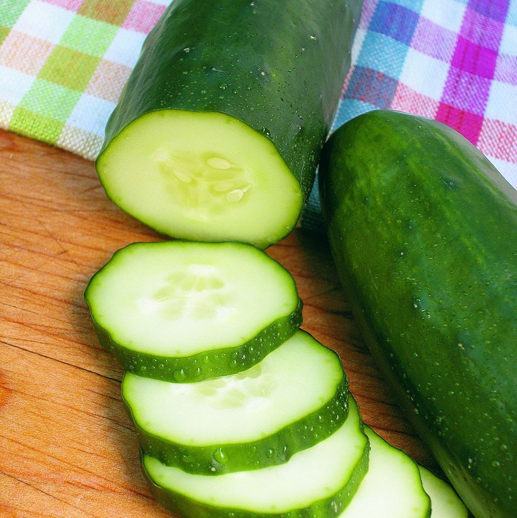 Burpless Hybrid Cucumber (Garden Starter Plant) – Southern Idaho ...