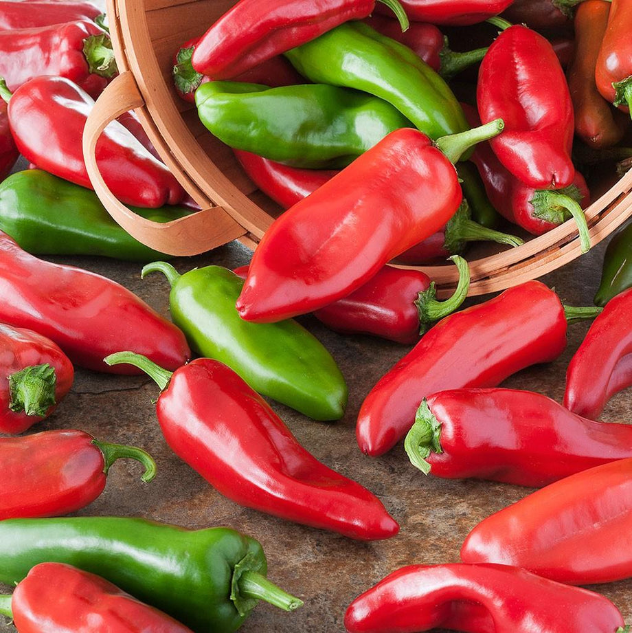 Red Hot Chili Pepper (Garden Starter Plant) – Southern Idaho