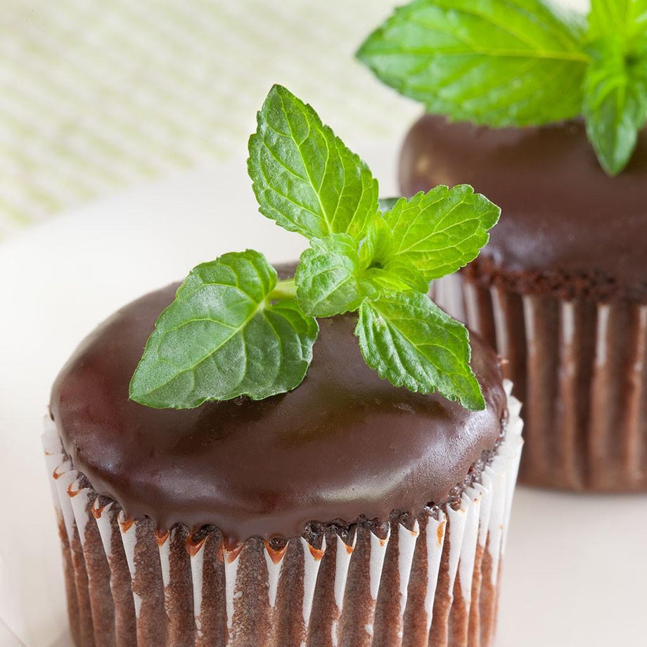 Chocolate Mint (Garden Starter Plant) – Southern Idaho Landscape Center