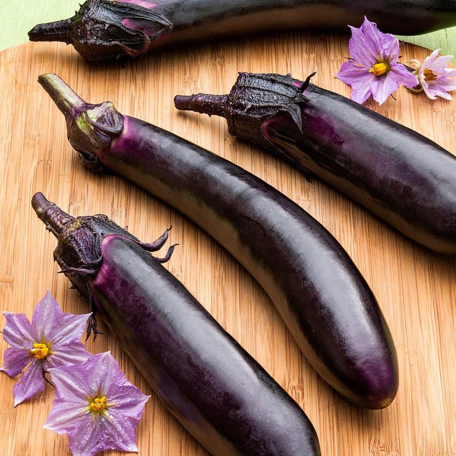 Ichiban Type Japanese Eggplant (Garden Starter Plant) – Southern