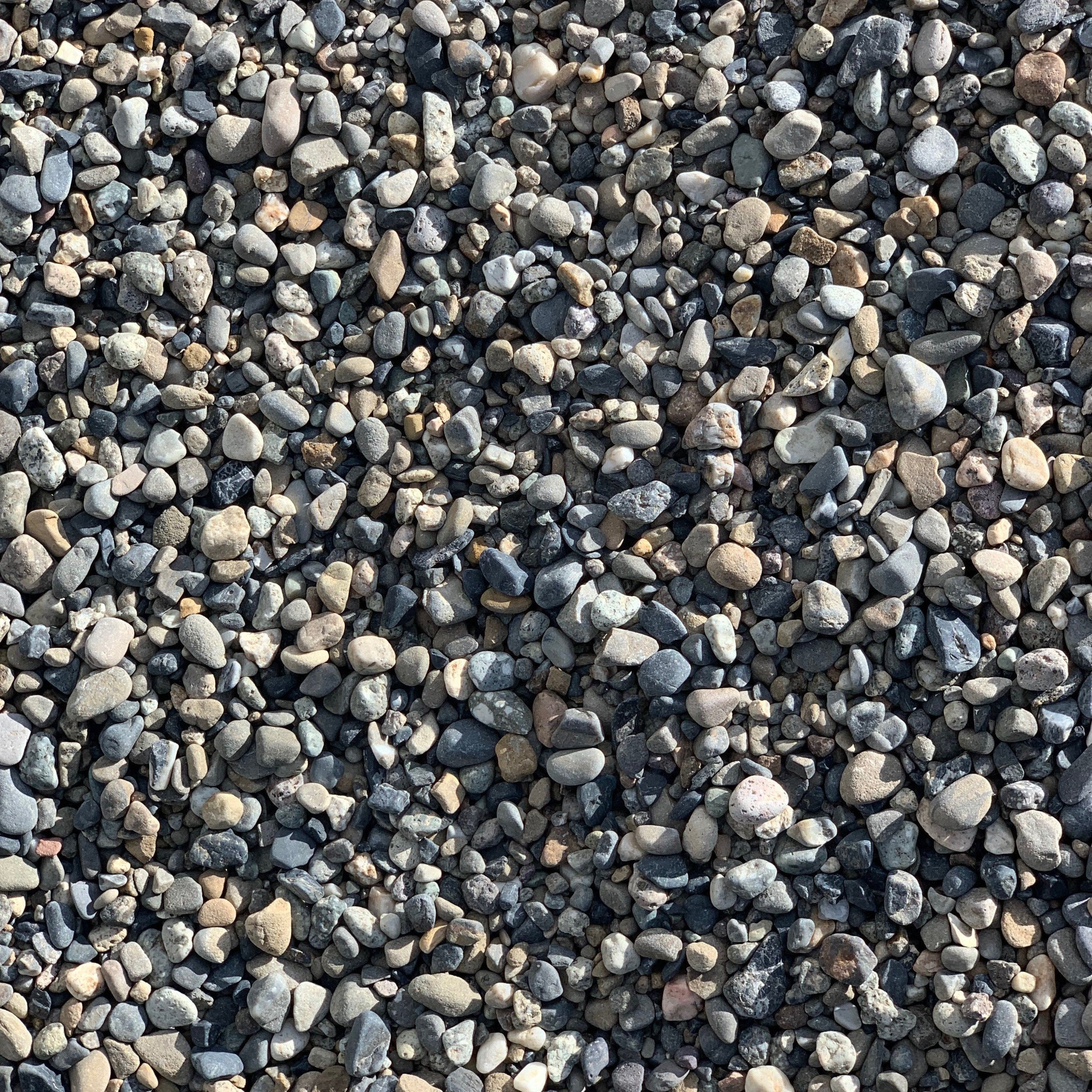 succulent pea gravel Pea Gravel (Bulk) – Southern Idaho Landscape Center