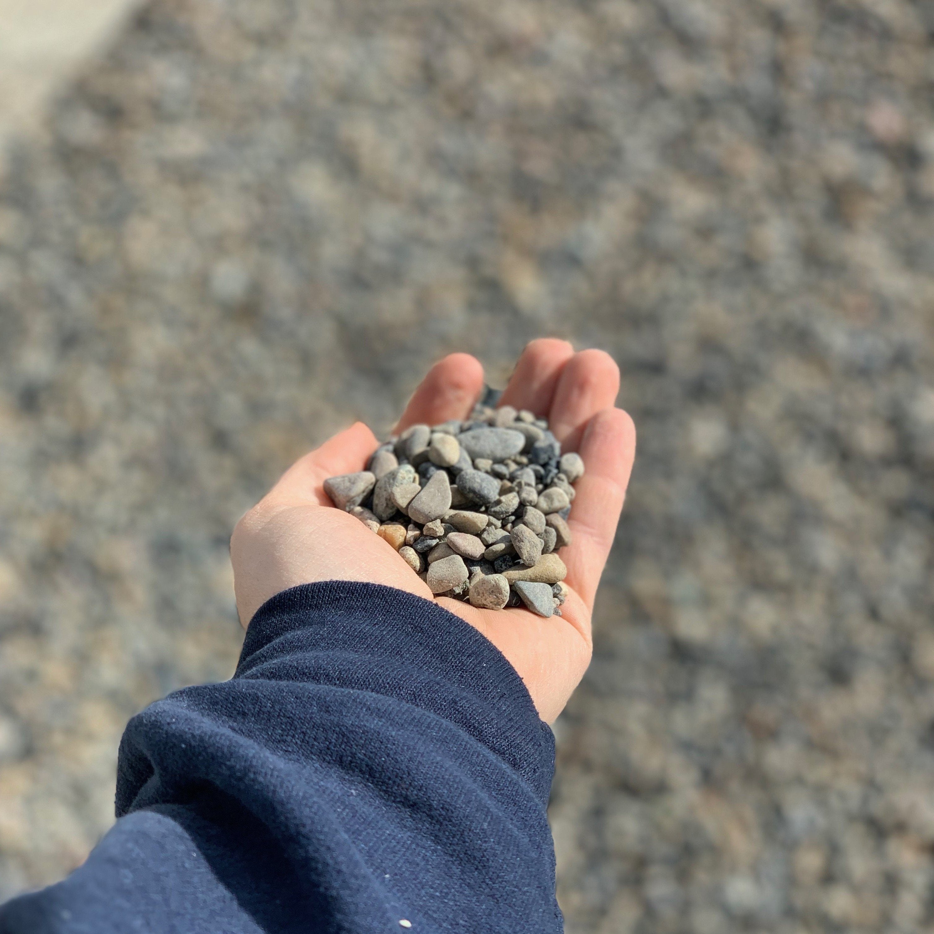 Pea Gravel Bulk Near Me Options Explained Pea Gravel Bulk Near Me Options Explained