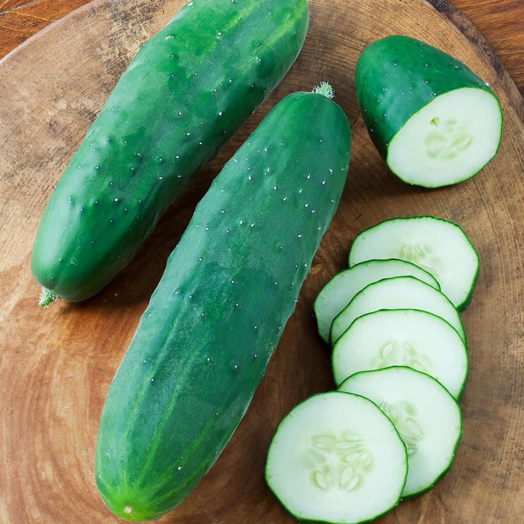 Straight Eight Cucumber (Garden Starter Plant) – Southern Idaho ...