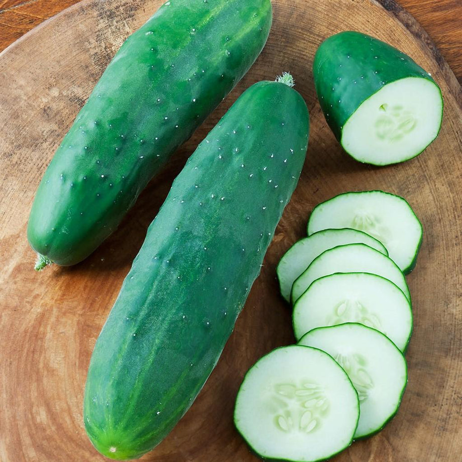 Straight Eight Cucumber (Garden Starter Plant)